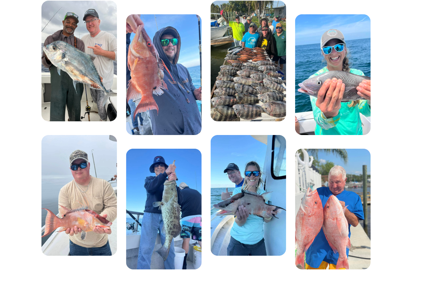 a bunch of items that are posing for a photo