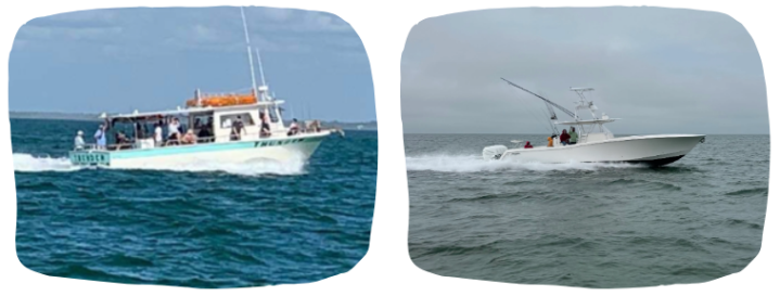 graphical user interface