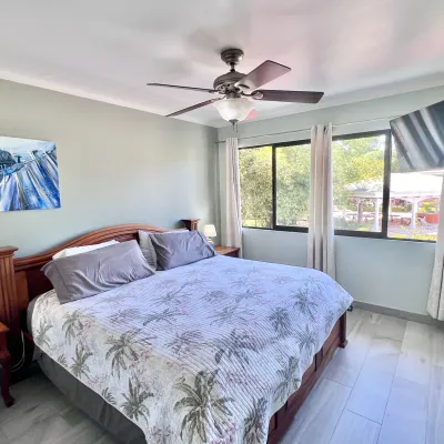 Bedroom with a large bed, ceiling fan, wall art, and windows with a view.
