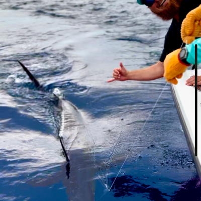 Man on boat smiling at camera, holding fishing line with a marlin near the surface of the sea.